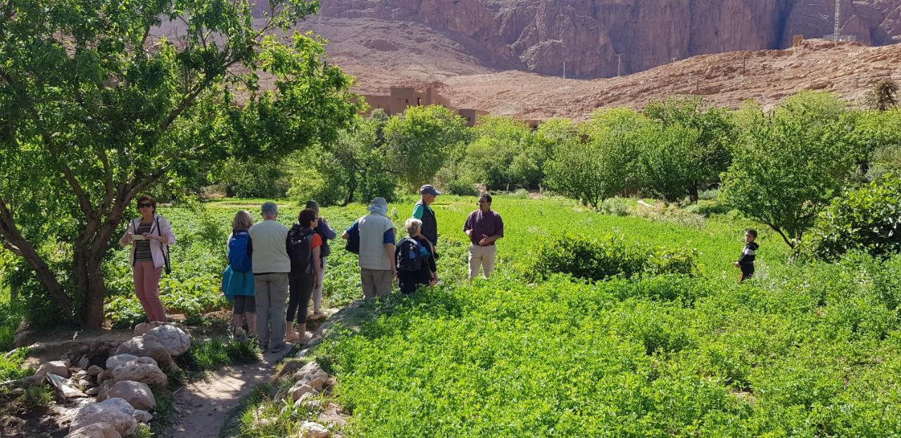 La Petite Gorge, Hotel & Restaurant Todra Gorge Tinghir Εξωτερικό φωτογραφία